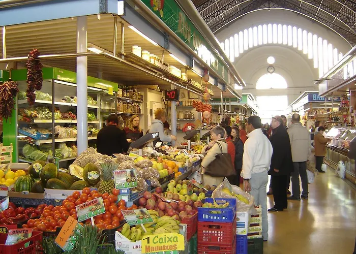 Cui Bono * L'Ampolla