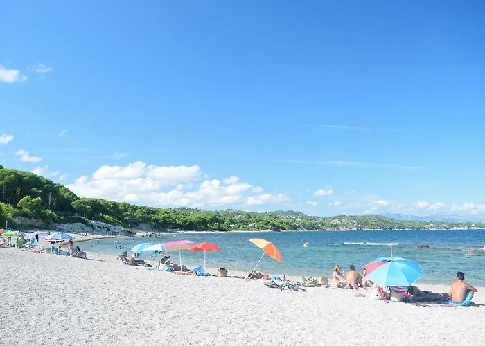 Cui Bono L'Ampolla